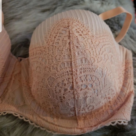 Bra - Picture 4 of 4